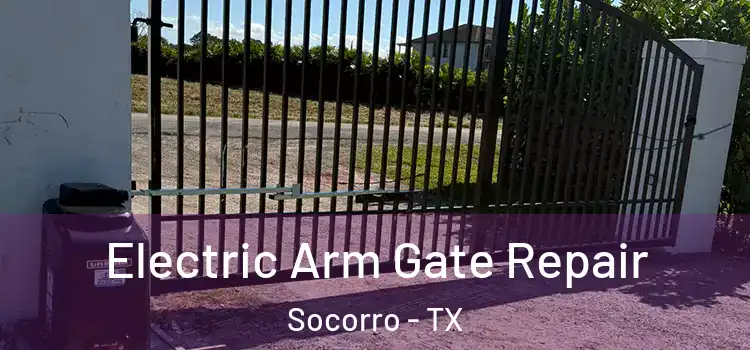 Electric Arm Gate Repair Socorro - TX