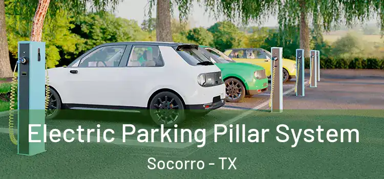 Electric Parking Pillar System Socorro - TX