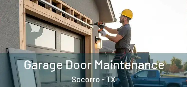 Garage Door Maintenance Socorro - TX